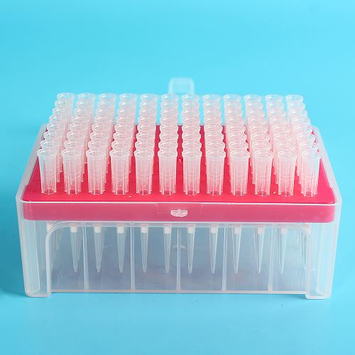 China Pipette Tip wholesale