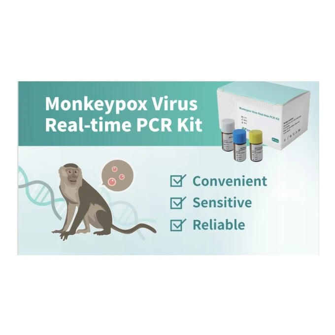 PCR زمان واقعی ویروس آبله میمون